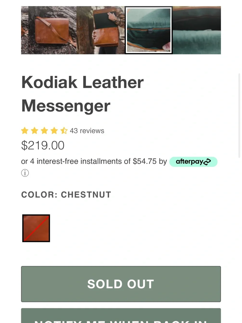 Kodiak Leather Messenger laptop case
